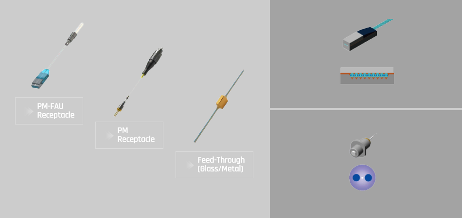 sOdeVeTwgjRJEO1R1aPq9ayAcBzotXbMVkWc1ahL