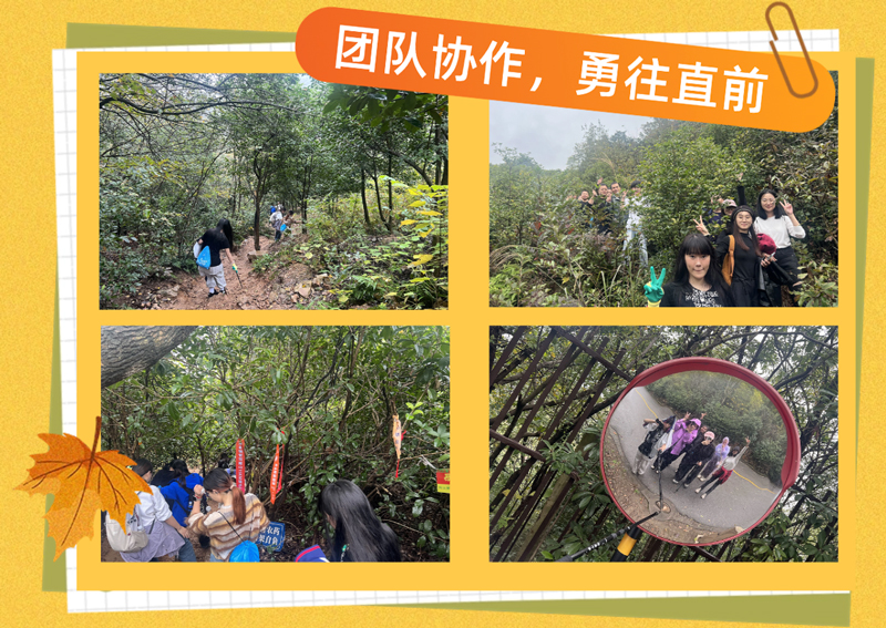 KokMjrpcOpynJlbpzGjnTWxqlK0t6zNfPDXs9N6X